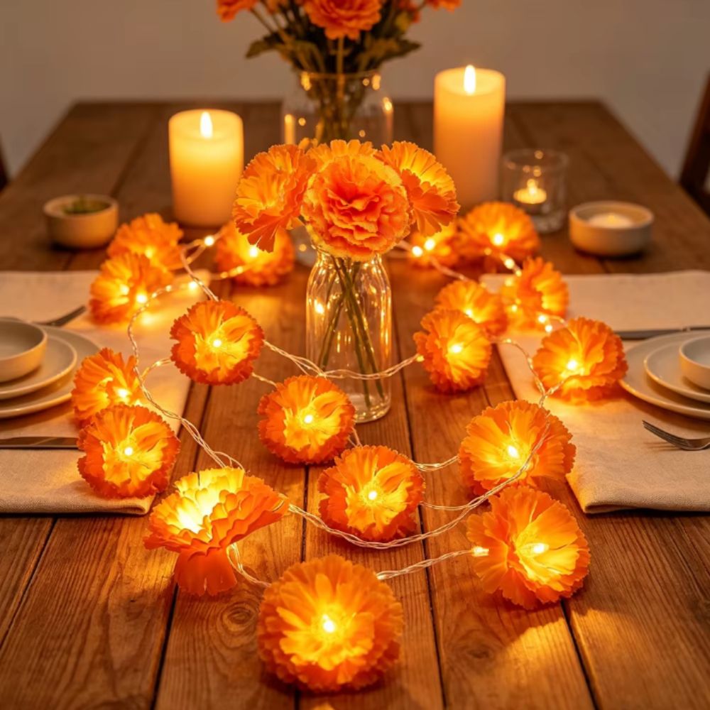 Guirlande lumineuse LED de sty - Halloween Led String Lights Orange avis et prix